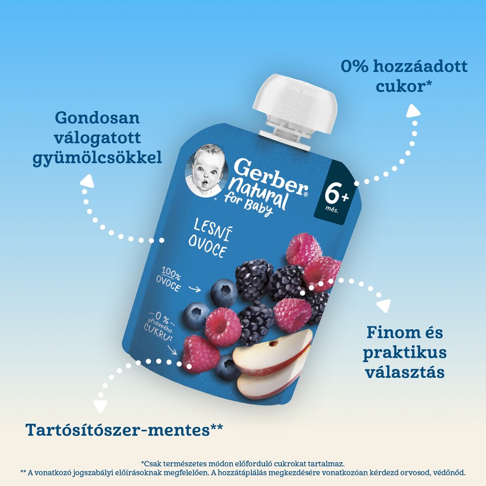 image 1 of Gerber Apple-Forest Fruit Fruit Puree for 6 Months+ 90 g