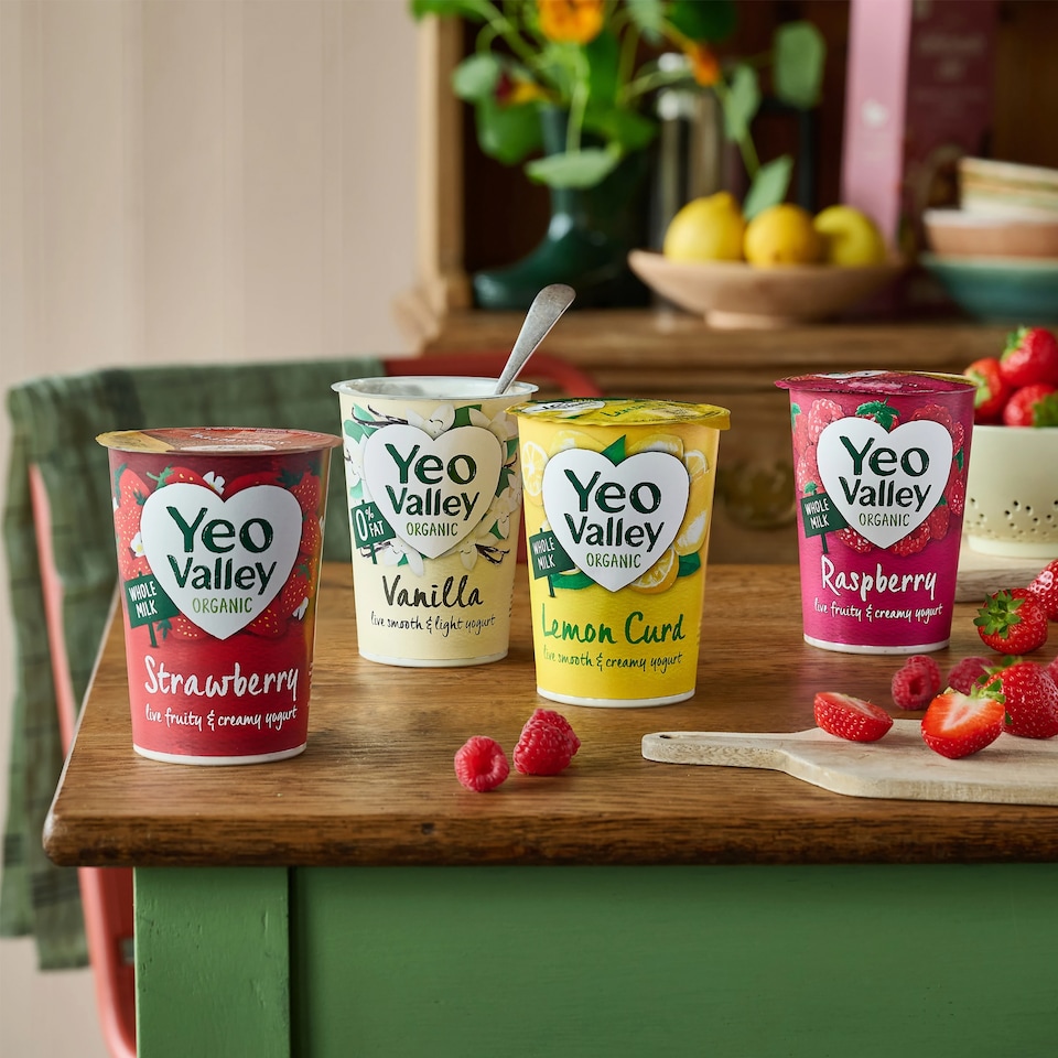 image 1 of Yeo Valley Strawberry Yogurt 450G