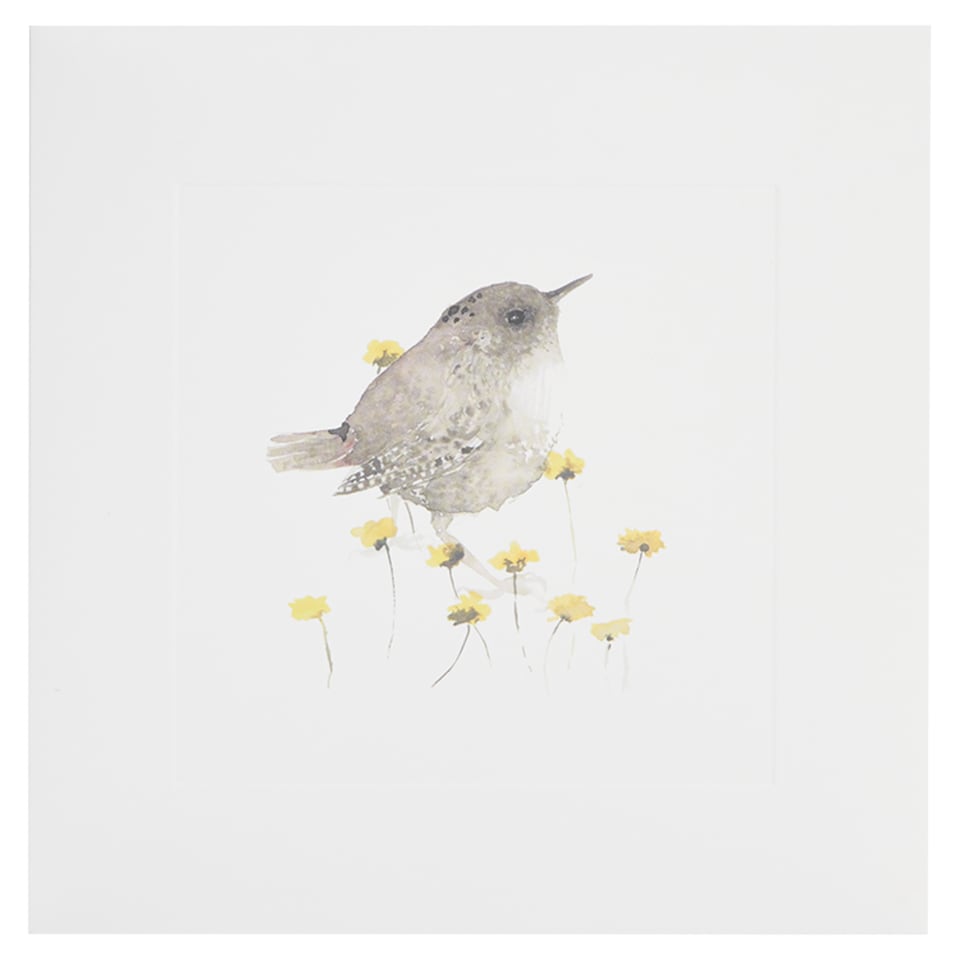 Woodmansterne Blank Card Wren