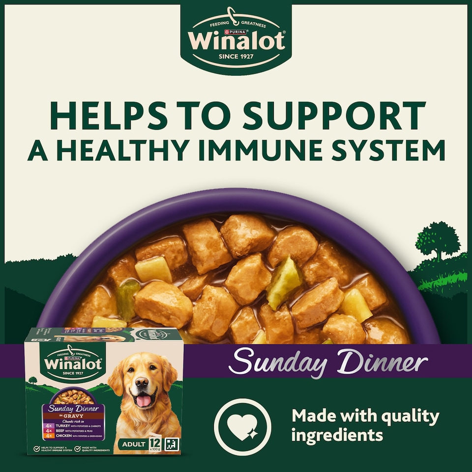 image 1 of WINALOT Sunday Dinner Mixed in Gravy Wet Dog Food 12x100g