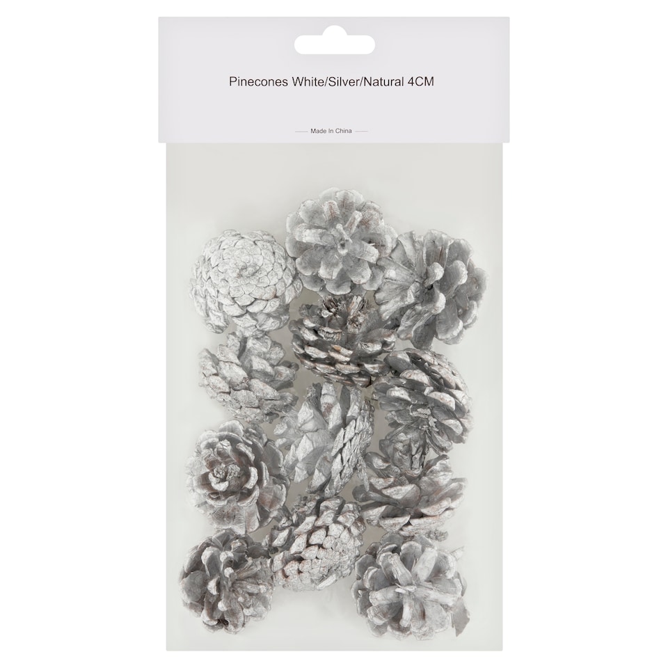 Pinecones White, Silver, Natural 4 cm
