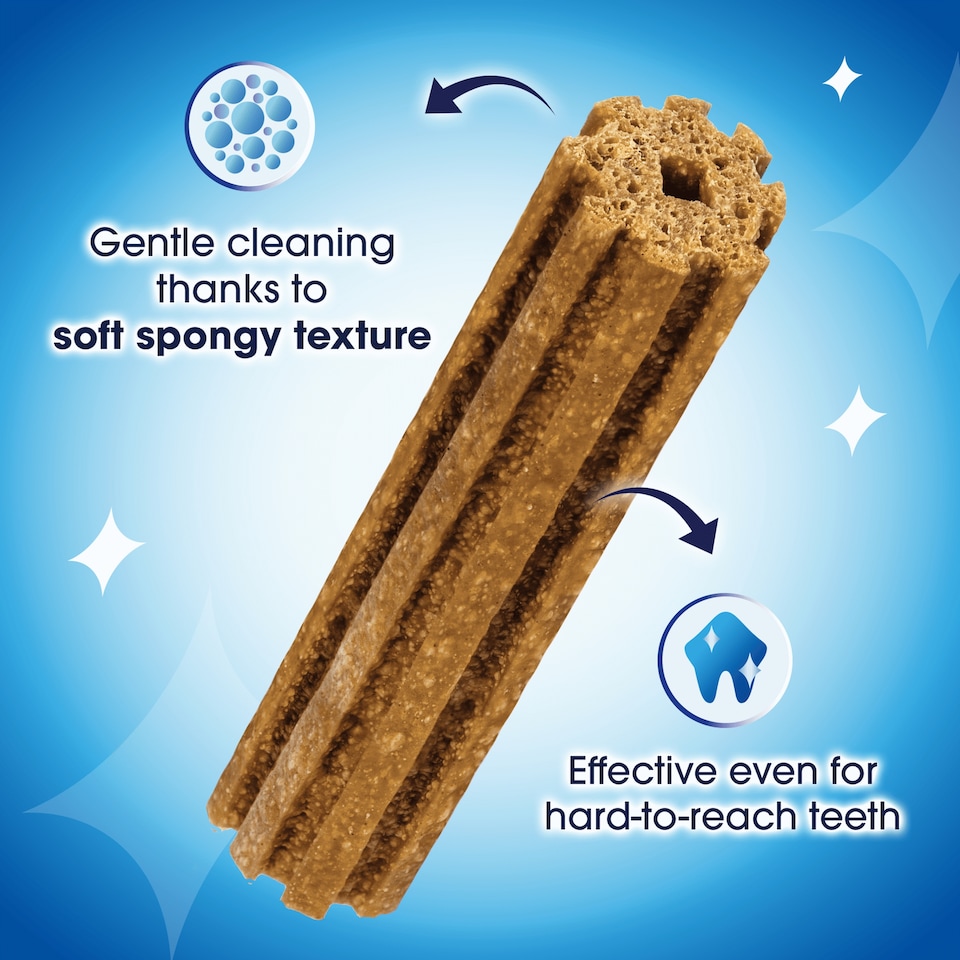 image 1 of DENTALIFE Large Dental Chicken Dog Chews 18 Sticks