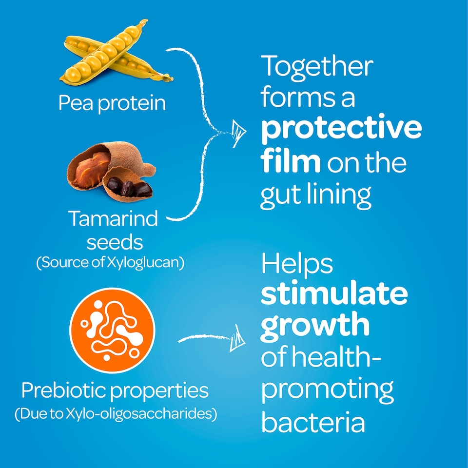 image 1 of FyboCalm Diarrhoea Relief Capsules 30s