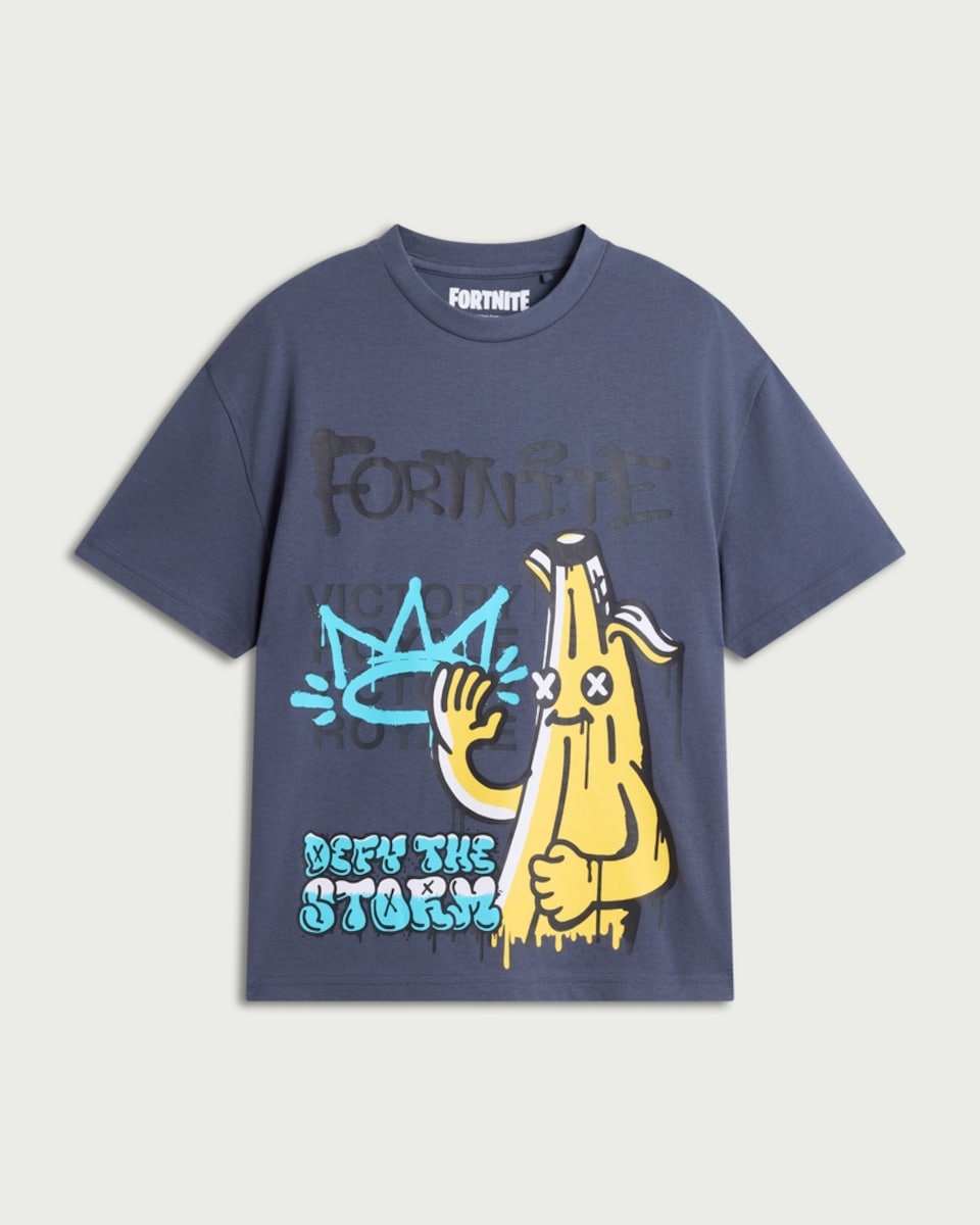 image 1 of Fortnite Pure Cotton Defy the Storm T-Shirt in Grey