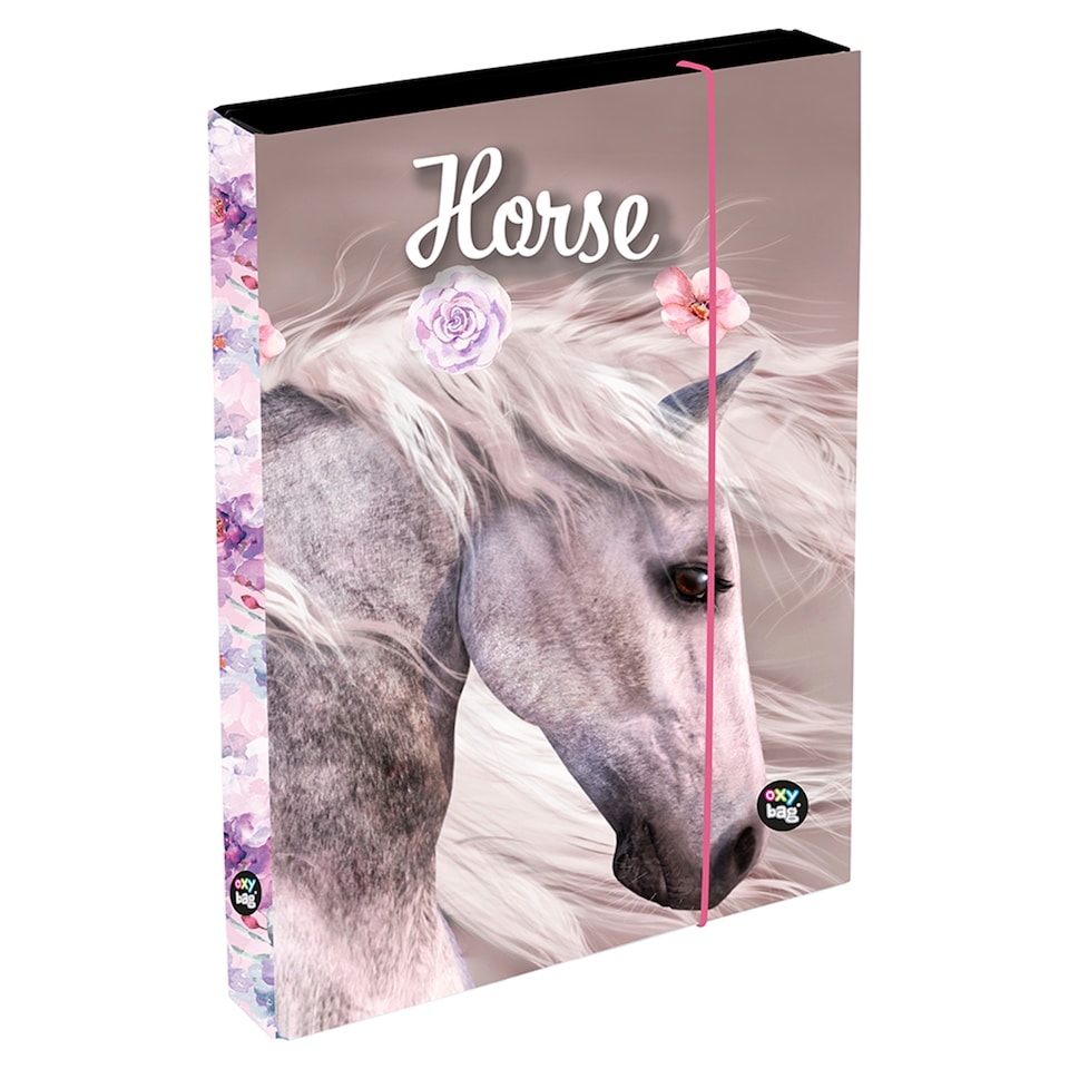 Obrázek 1 pro produkt Oxybag Jumbo Girl1 desky A5