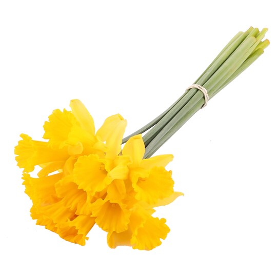 Tesco Irish Grown Daffodils Tesco Groceries