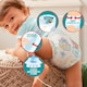 image 3 of Pampers Baby Dry Nappy Pants Size 5 Carry 21