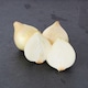 image 2 of Tesco Finest Sweet Onion 3 Pack Minimum 385G