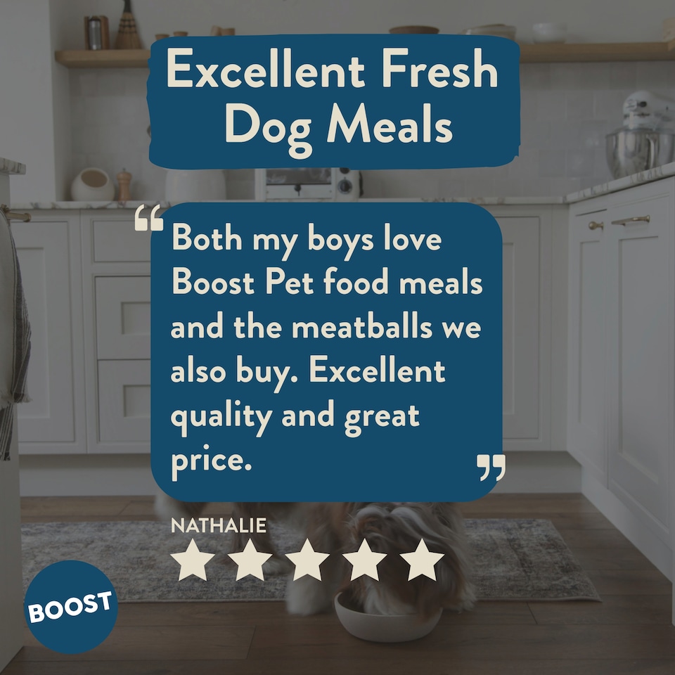 image 1 of Boost Pet Turkey Meal for Working Dogs 400g