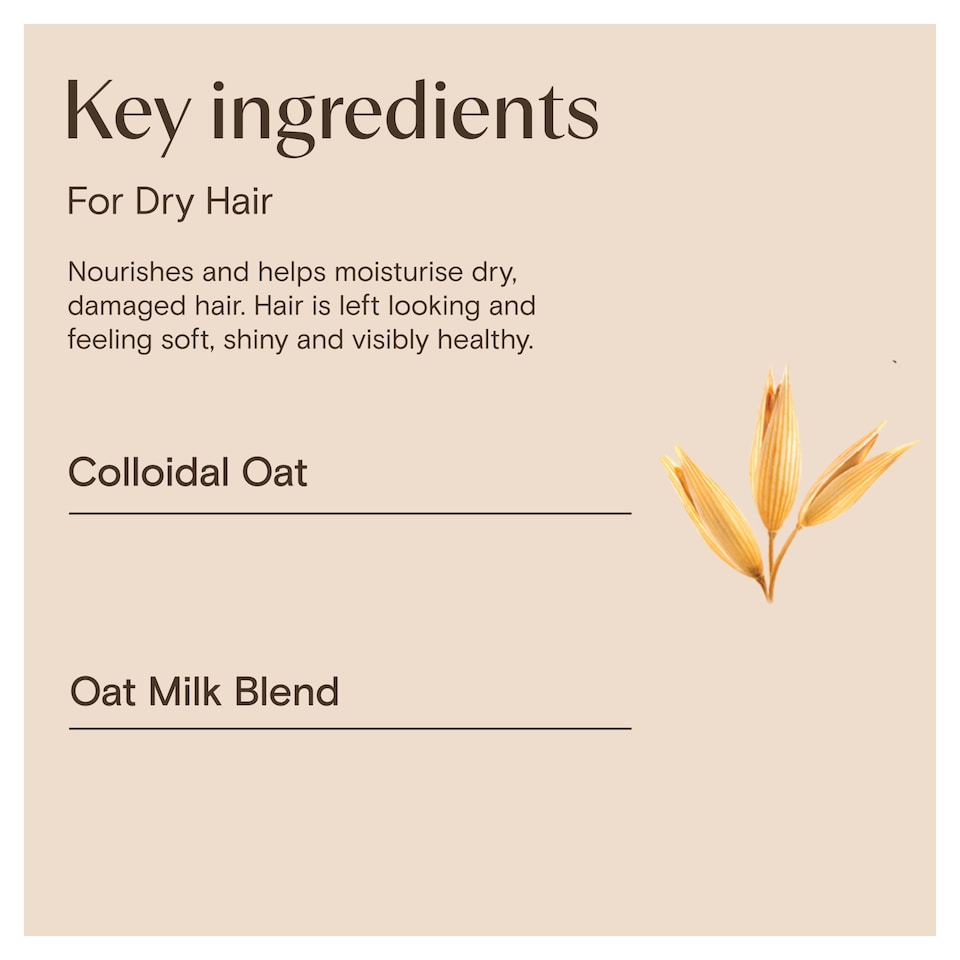 image 1 of Aveeno Hydrating Scalp Soothing Conditioner for Dry Hair 300ml