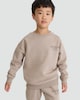 image 1 of F&F Active Cotton Rich Athl. Dept. Slogan Sweatshirt in Stone