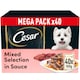 image 1 of CESAR Adult Wet Dog Food Pouches Sauce Mixed Selection in Gravy 40x100g