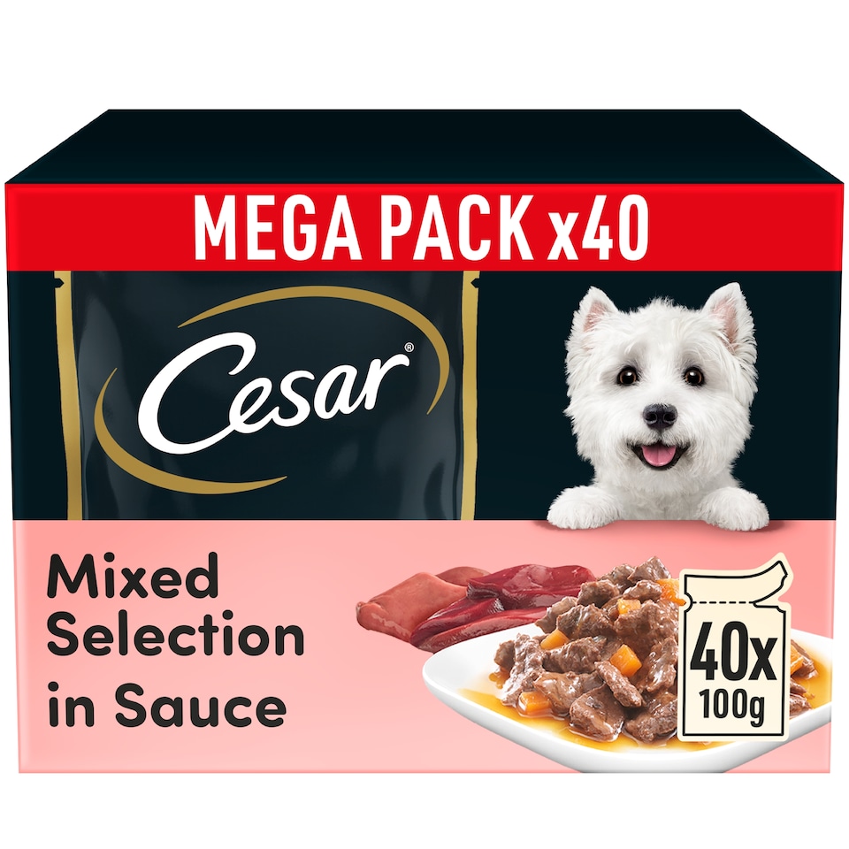 image 1 of CESAR Adult Wet Dog Food Pouches Sauce Mixed Selection in Gravy 40x100g