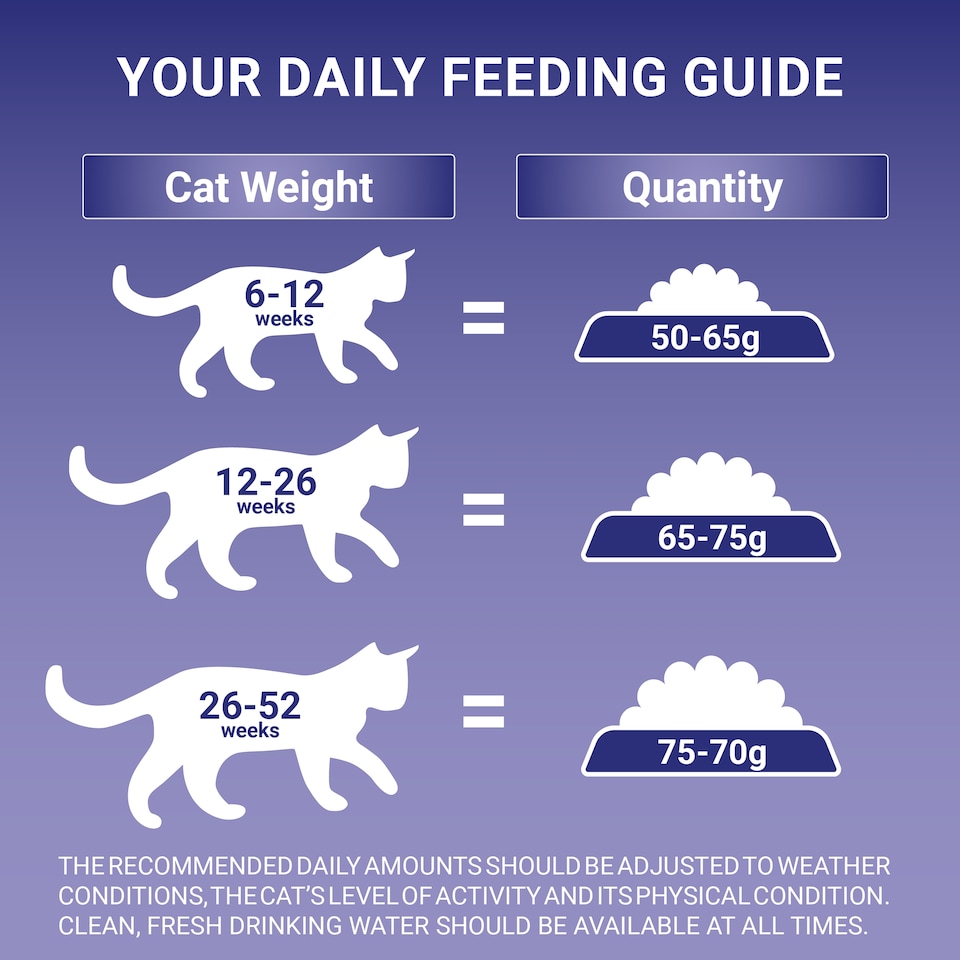 image 1 of Purina One Kitten Dry Cat Food Chicken 750G