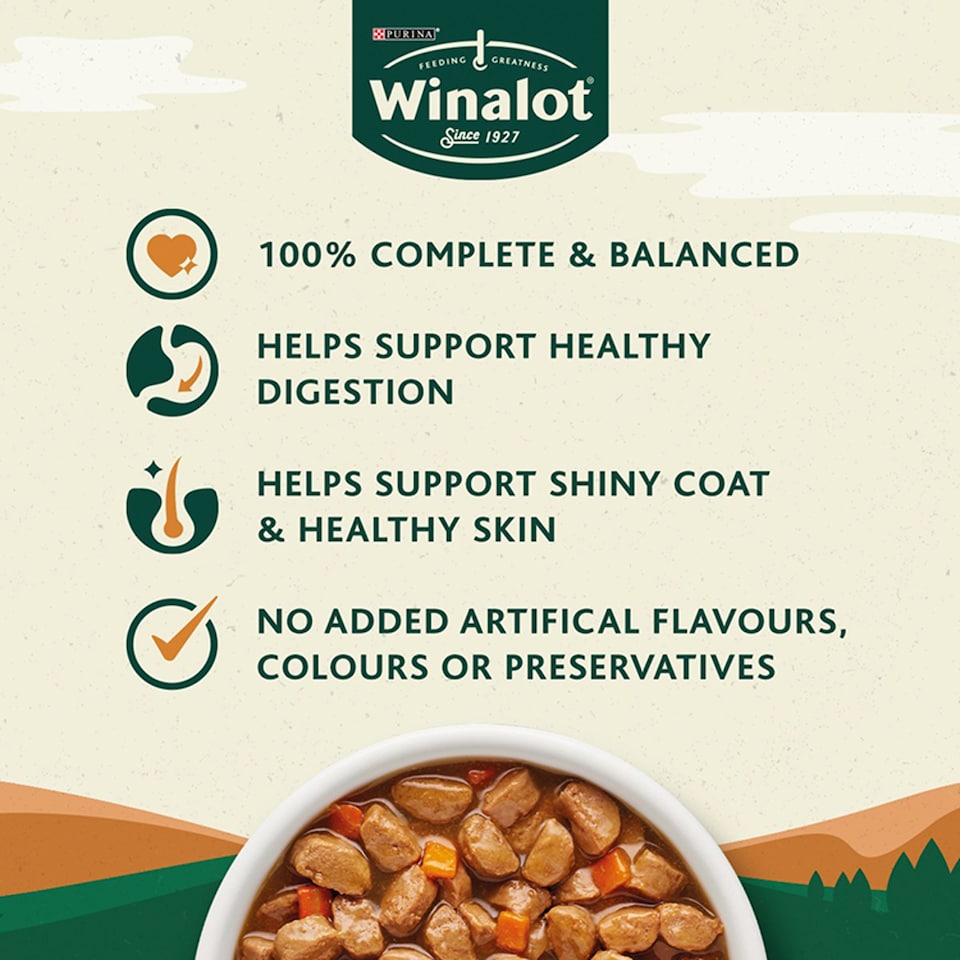 image 1 of Winalot Meaty Chunks Dog Food Pouches In Gravy 12X100g