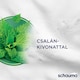 image 3 of Schauma Nettle Freshness Shampoo 400 ml