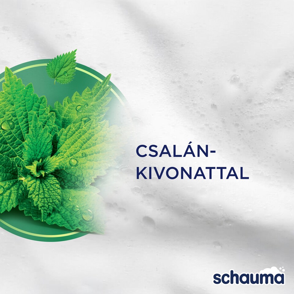 image 1 of Schauma Nettle Freshness Shampoo 400 ml