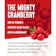image 2 of Ocean Spray Cranberry Classic Light Juice Drink 1 Litre