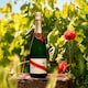 image 3 of G.H. Mumm Champagne Brut Cordon Rouge 75cl