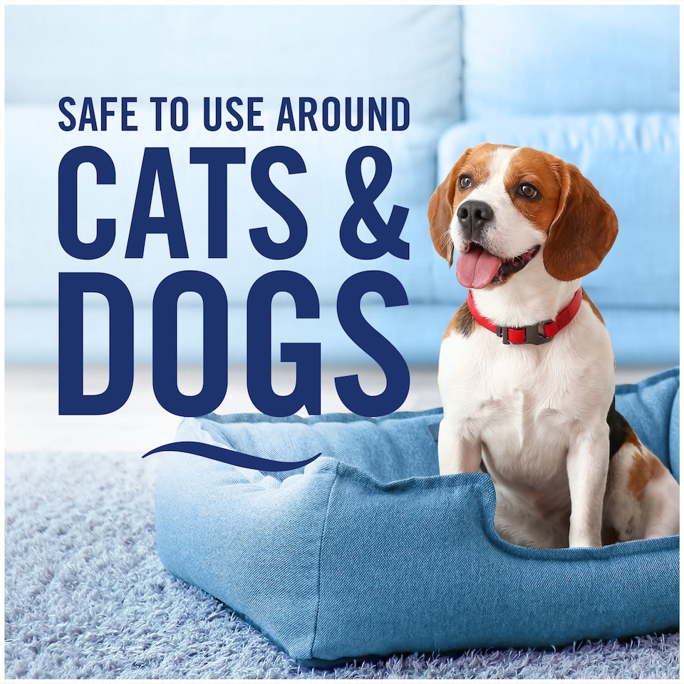 image 1 of Febreze Fabric Refresher Cotton 375 Ml