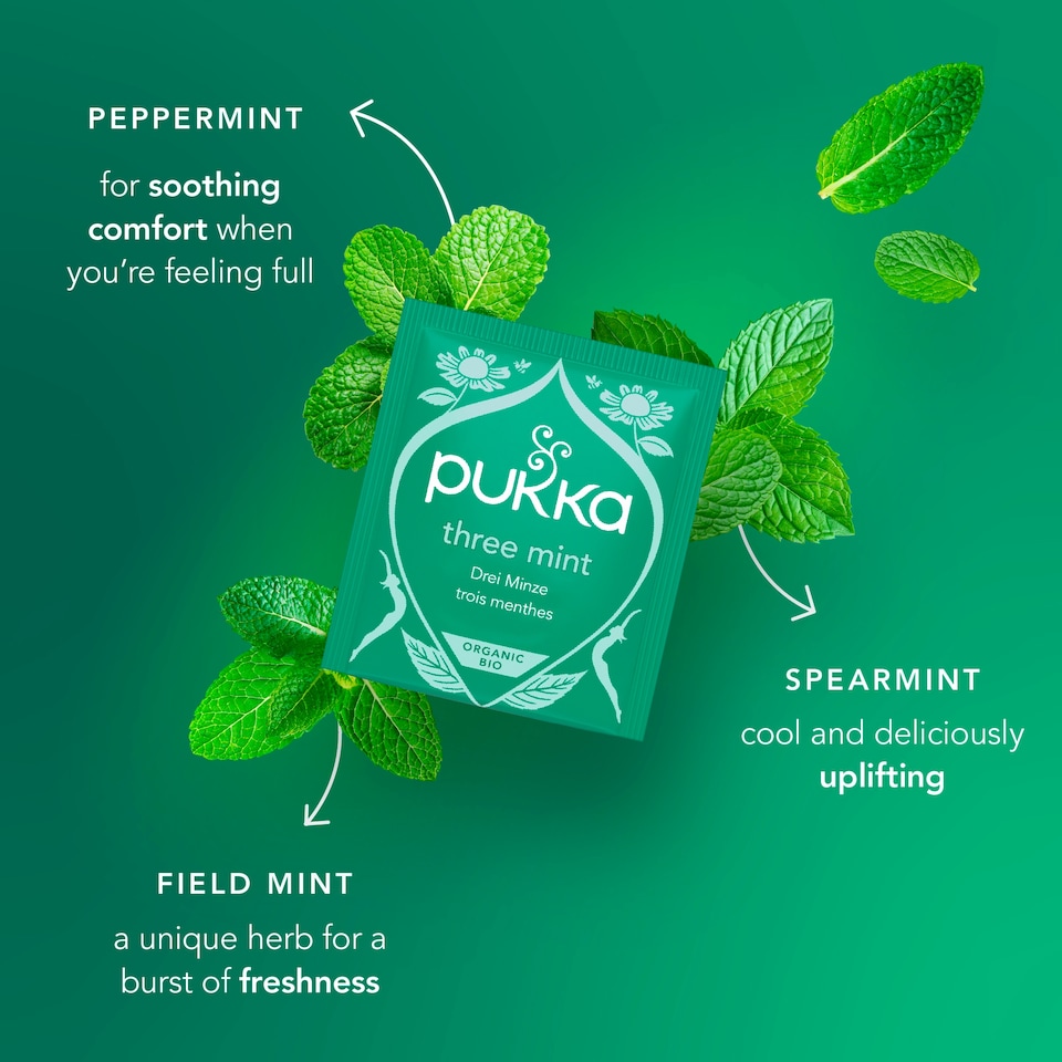 image 1 of Pukka Organic Digest Collection with Peppermint and Ginger 8 Tea Bags 13.6g