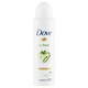 obrázok 1 z Dove Go Fresh Cucumber scent antiperspirant sprej 150 ml