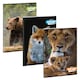 Wild Life Moments kockás füzet A4  2. kép