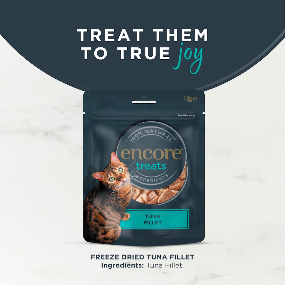 image 1 of Encore Tuna Fillet Freeze Dried Cat Treats 10g