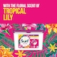 image 2 of Surf 3 In1 Tropical Lily Washing Capsules 18 Washes 311.4g
