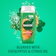 image 2 of Radox Eucalyptus & Citrus Feel Refreshed Shower Gel 225ml