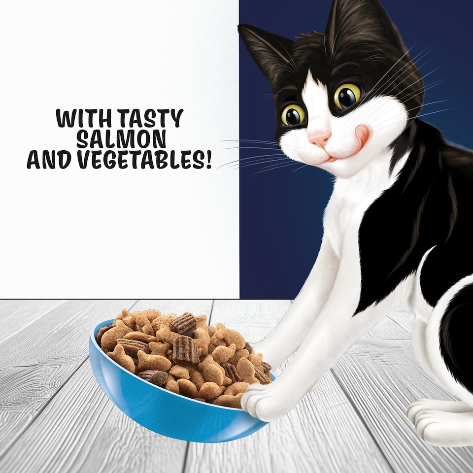 image 1 of Felix Dry Doubly Delicious Salmon & Vegetables Cat Food 750g