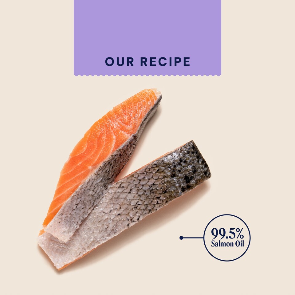 image 1 of Pooch & Mutt Salmon Oil Supplement - Omega 3, 6, 9 500ml