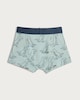image 2 of F&F Boys 5-Pack Cotton Rich Dinosaur Print Trunks in Green Multi