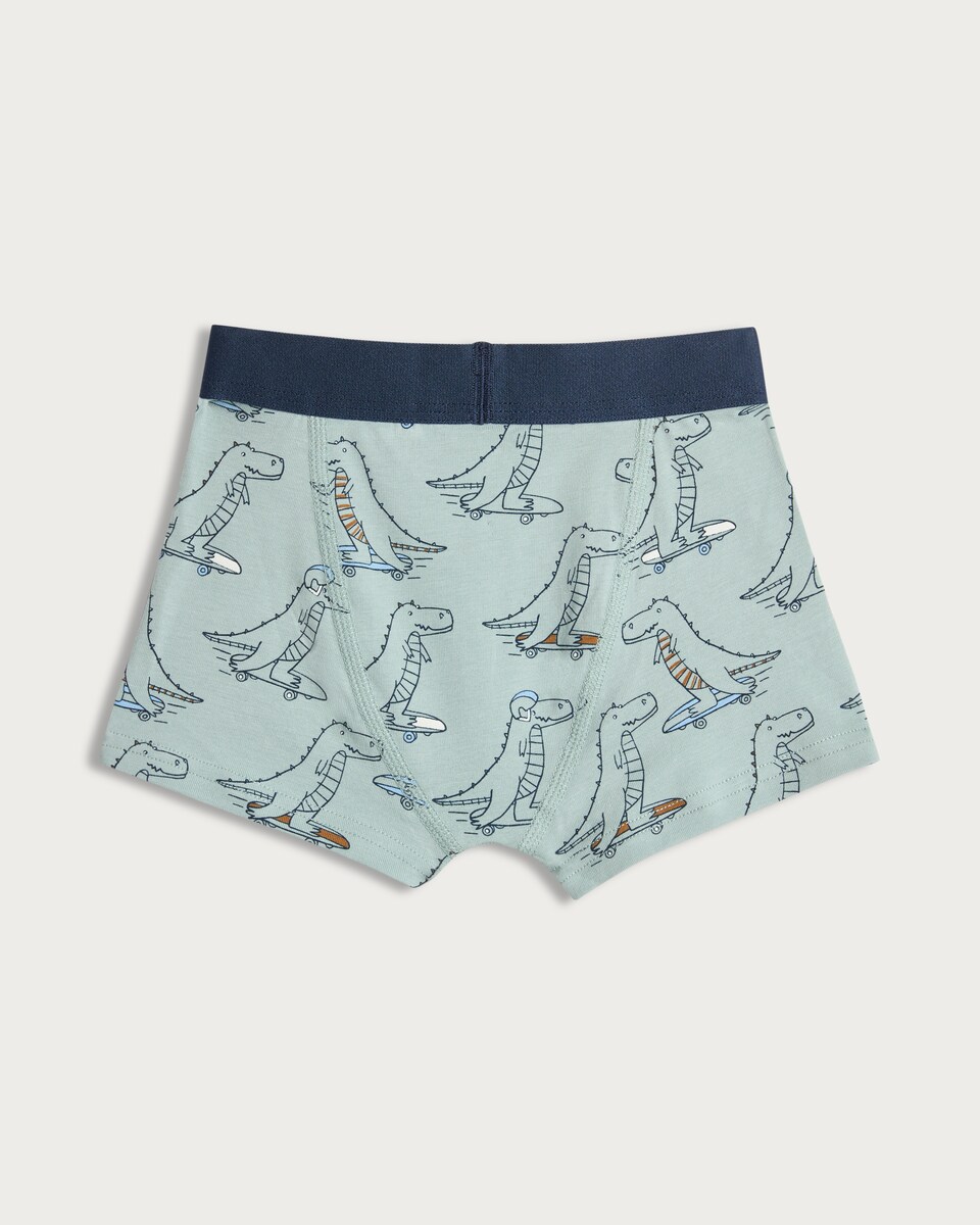 image 1 of F&F Boys 5-Pack Cotton Rich Dinosaur Print Trunks in Green Multi