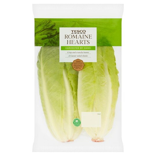 Tesco Romaine Lettuce Hearts 2 Pack Tesco Groceries Tesco Romaine Lettuce Hearts 2 Pack Tesco Groceries
