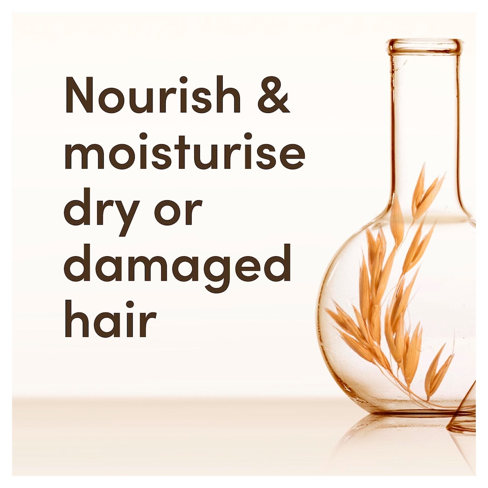 image 1 of Aveeno Hydrating Scalp Soothing Conditioner for Dry Hair 300ml