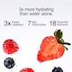 image 3 of Phizz Mixed Berry 3 in 1 Hydration, Electrolytes and Vitamins 10 Tablets 43g