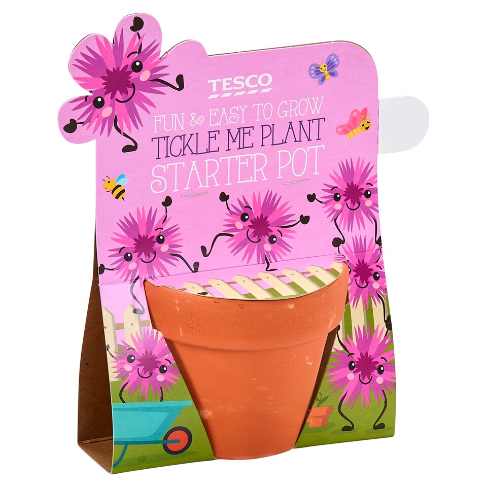 Tesco Tickle Me Plant Starter Pot