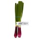 image 1 of Tesco Finest Red Spring Onion 120G