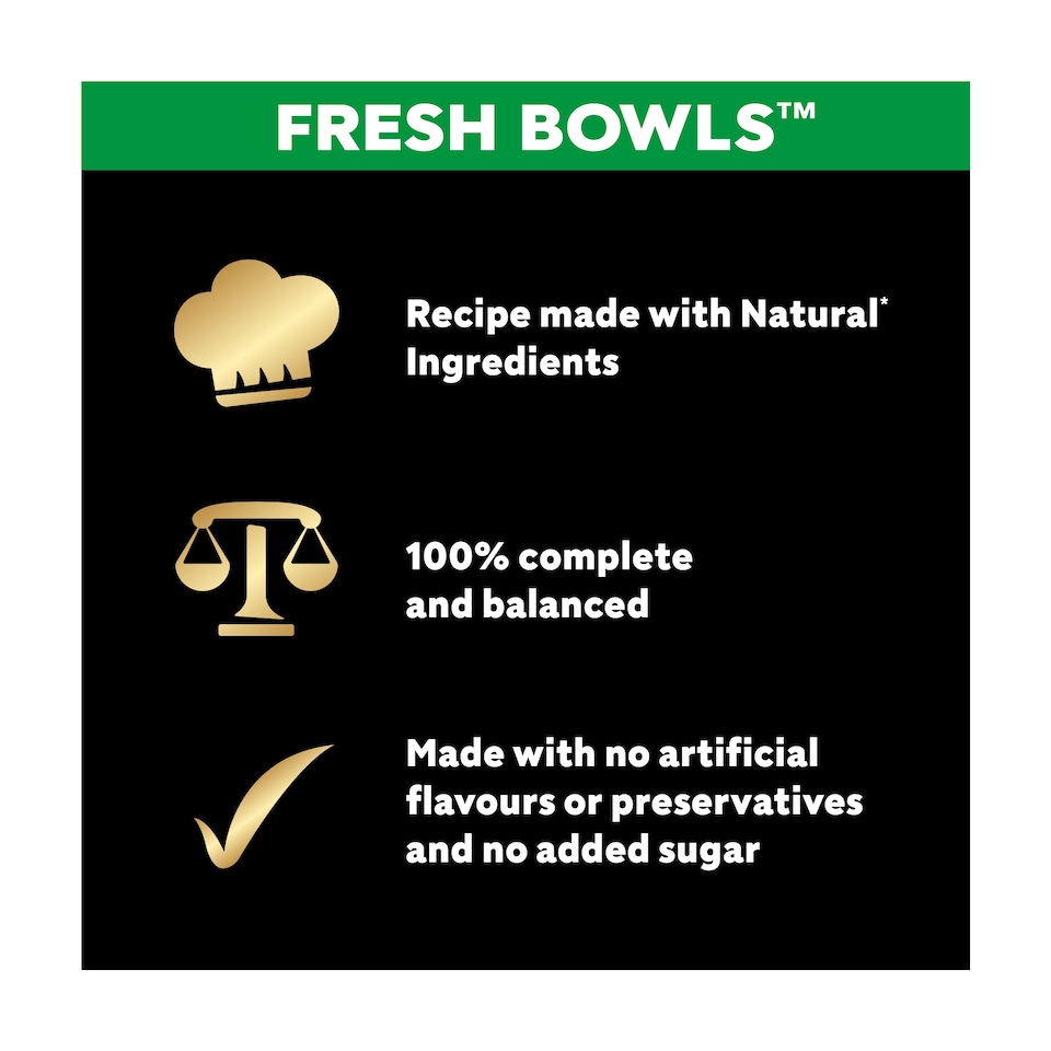 image 1 of CESAR Wet Dog Food Fresh Bowls in Gravy 6 x 85g