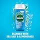 image 2 of Radox Sea Salt & Lemongrass Feel Active Shower Gel Body Wash 225ml