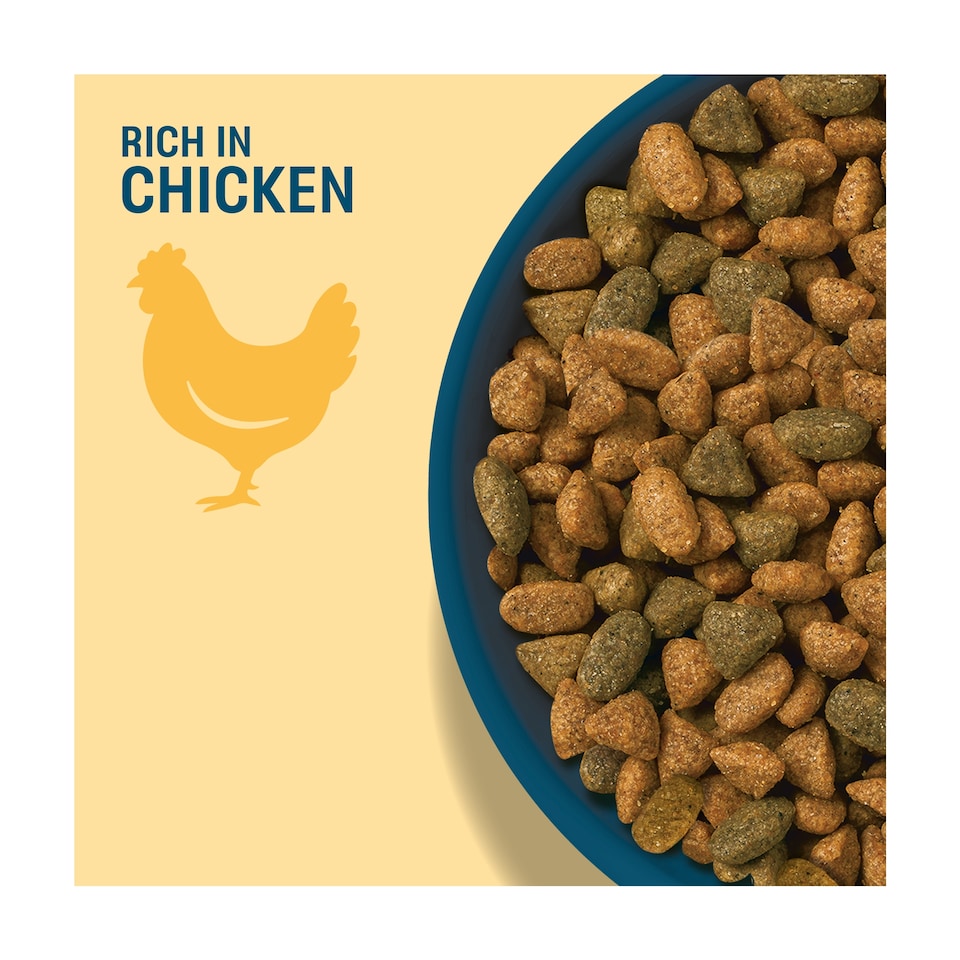image 1 of Perfect Fit Senior 11+ Dry Cat Food - Chicken 750g