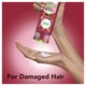 image 4 of Herbal Essences Love Me Longer Shampoo 400Ml