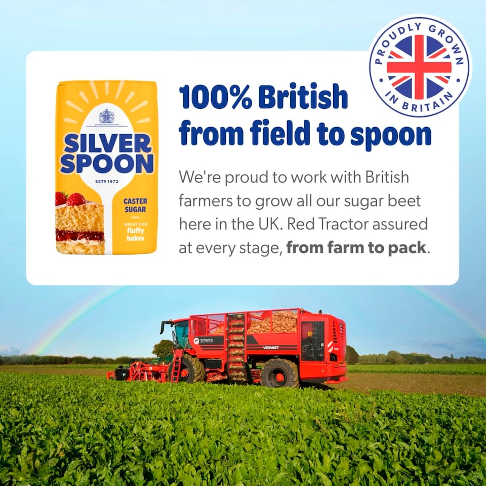 image 1 of Silver Spoon Caster Sugar 500g
