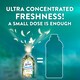 image 3 of Lenor Outdoorable Fabric Conditioner Amalfi Lemon & Lily of the Valley 53w 742ml