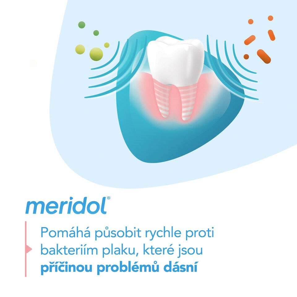 Obrázek 1 pro produkt meridol®Gum Protection zubní pasta pro ochranu dásní 2x 75 ml