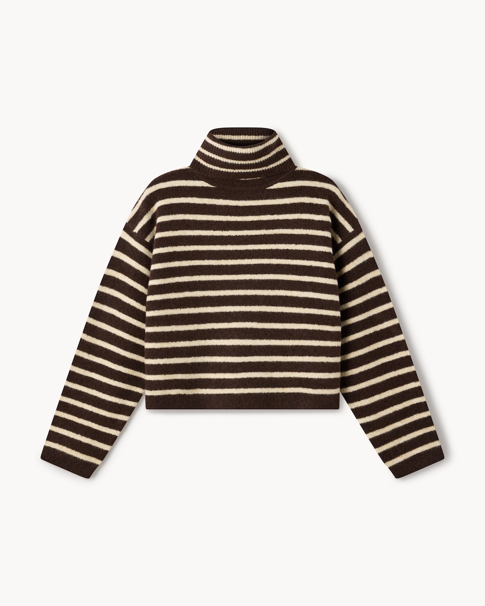 F&F Striped Roll Neck Jumper in Multi Brown