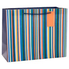 Tesco Multi Stripe Large Bag