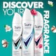 image 5 of Sure 72H Cotton Dry Antiperspirant 150Ml