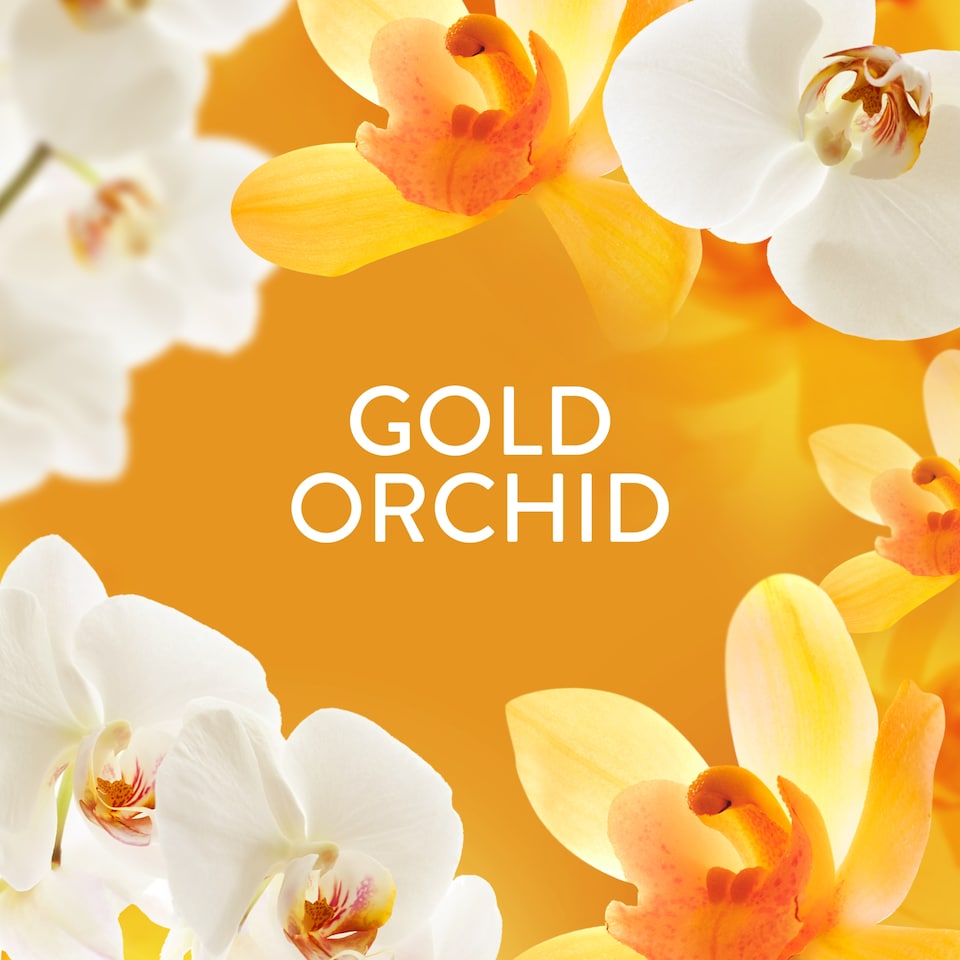 image 1 of Lenor In-Wash Scent Booster Gold Orchid 495g